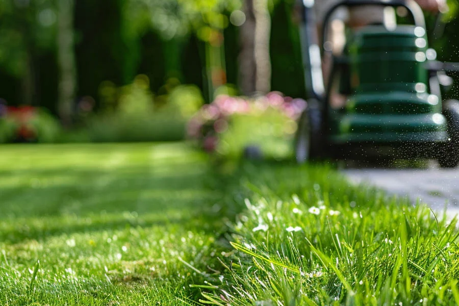 battery operated lawn mower